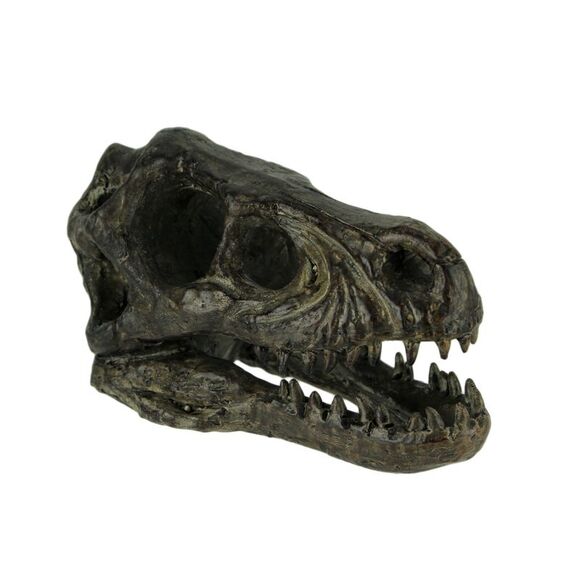 Velociraptor Dinosaur Head Fossil Statue Small - Picture 1 of 4